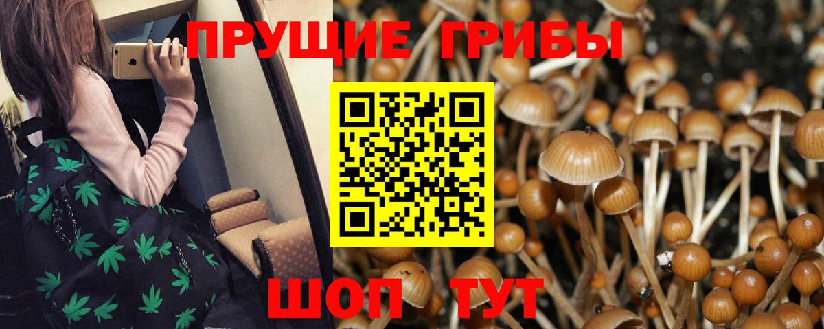 Псилоцибиновые грибы мицелий Кострома
