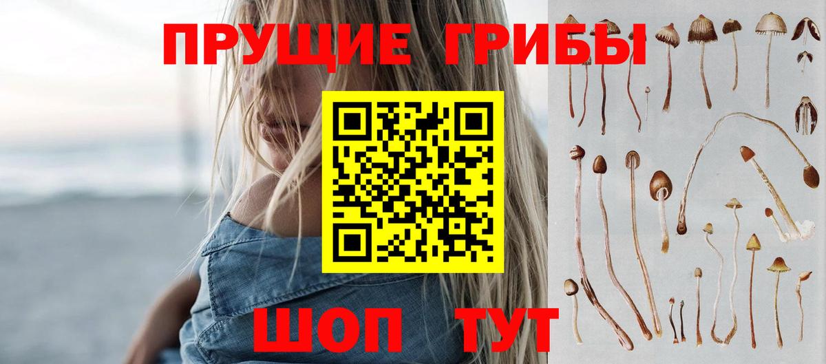 Кострома  Псилоцибиновые грибы Psilocybe  Вход с VPN 